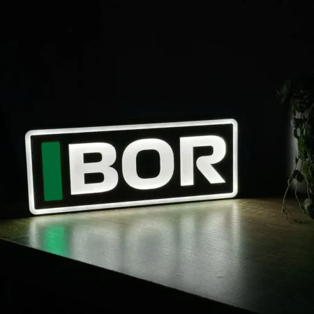 Gabriel Bortoleto Kick Sauber F1 Team Name Abbreviation Sign with LED Lighting F1 Racing Gift BLF1LEDA1BOR