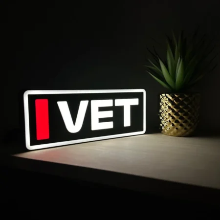 Sebastian Vettel Ferrari F1 Team Name Abbreviation Sign with LED Lighting F1 Racing Gift BLF1LEDA1VET
