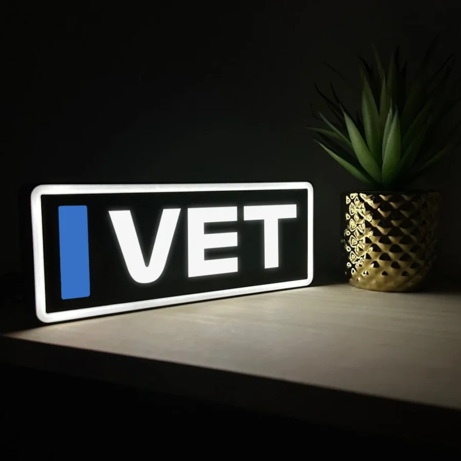 Sebastian Vettel Red Bull Racing F1 Team Name Abbreviation Sign with LED Lighting F1 Racing Gift BLF1LEDA1VET1
